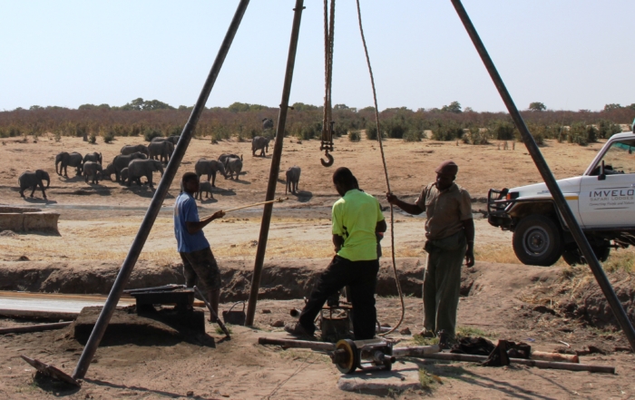 Water for Wildlife - Hwange borehole repairs by Imvelo Safari Lodges