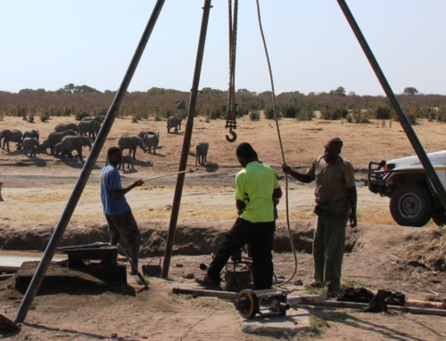 Join Imvelo for a ‘behind the scenes’ conservation safari to mitigate the impact of this years adverse weather conditions in Hwange National Park.