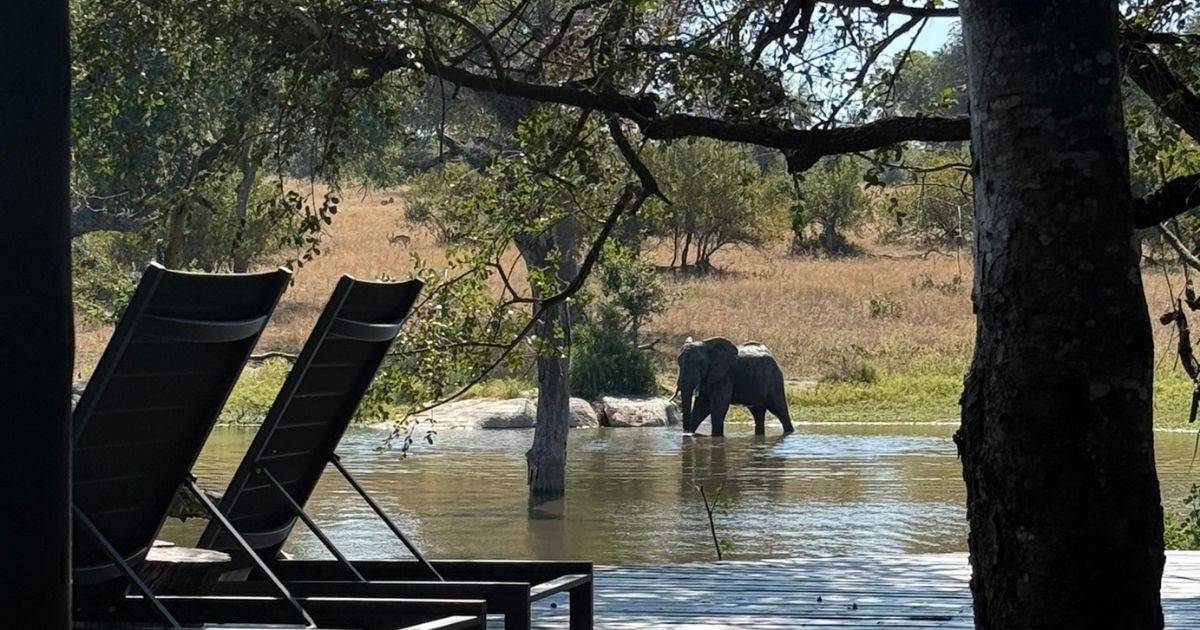 Elephants at Chitwa Chitwa