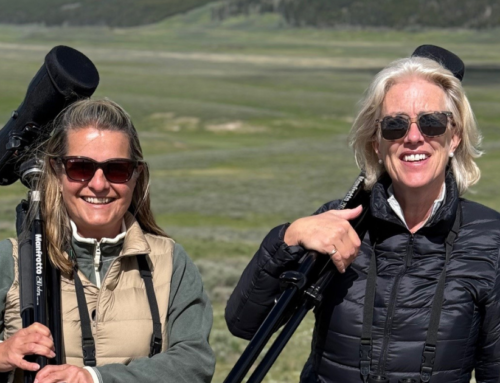 Notes From the Field: Greater Yellowstone with Gather Away