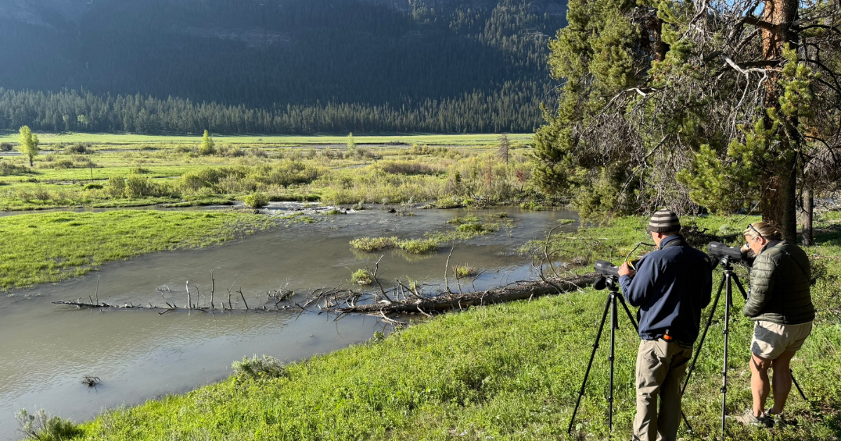 Yellowstone National Park, the Gather Away Way: Immersive, Intentional, Unforgettable