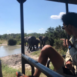 Imvelo Safari Lodges Conservation course game drive