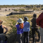 Studying elephant on the Conservation Course, Hwange NP