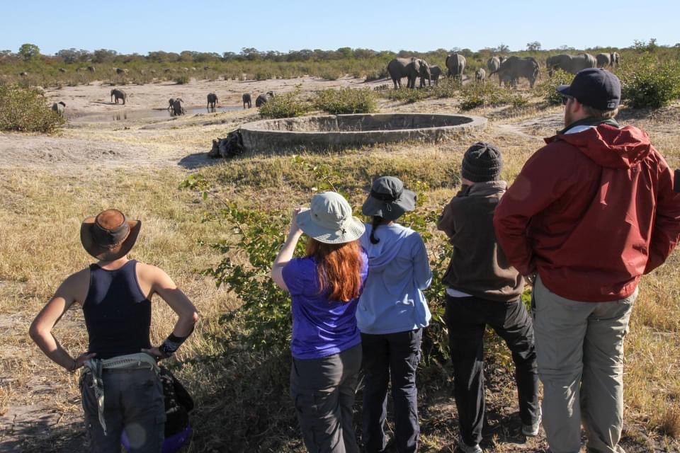 Studying elephant on the Conservation Course, Hwange NP