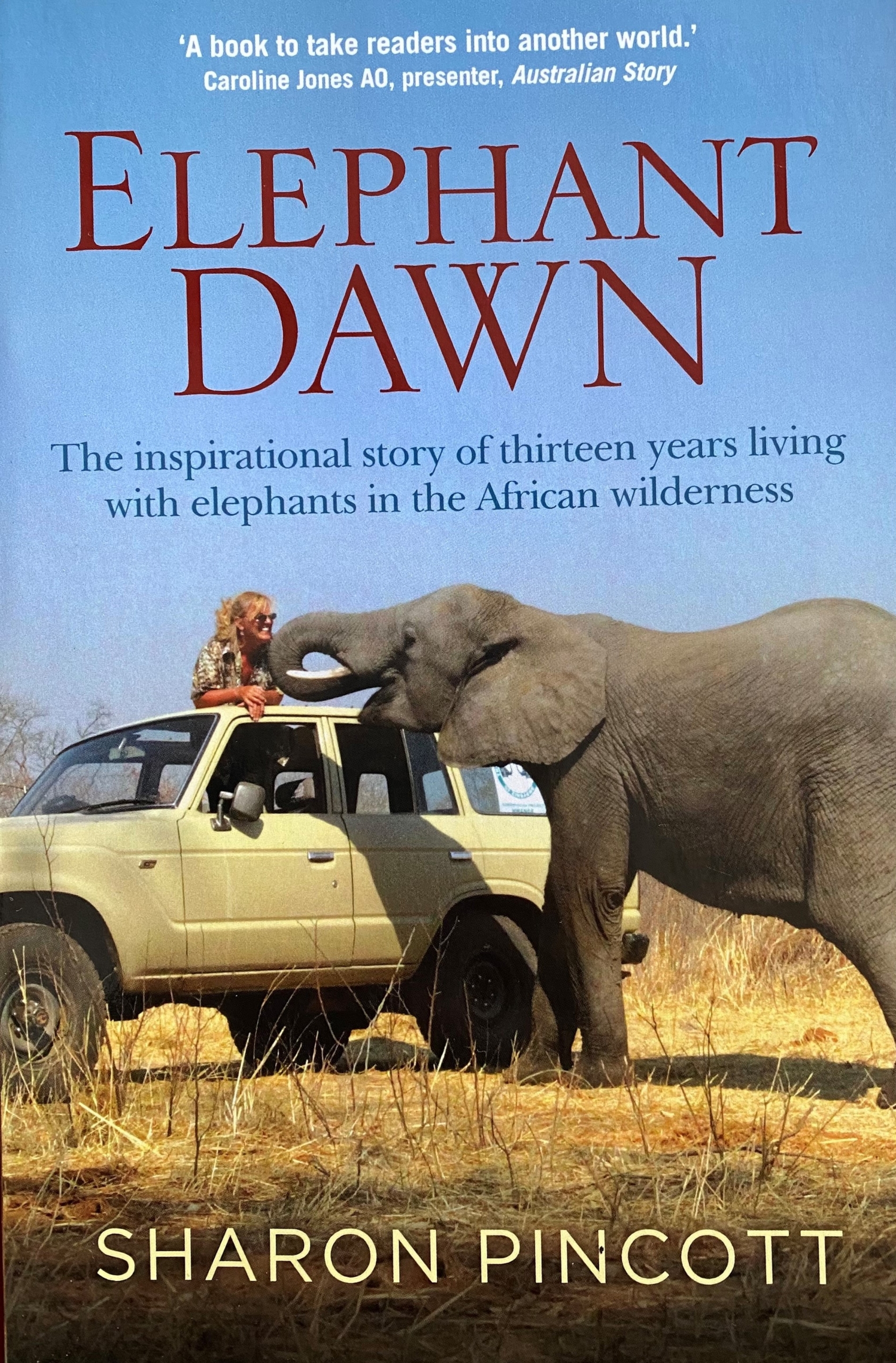Elephant Dawn by Sharon Pincott
