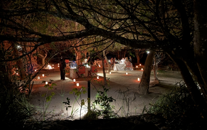 Mahogany Garden dining at Chitwa Chitwa