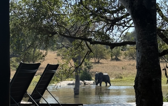 Wildlife viewing from the deck at Chitwa Chitwa