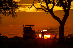 Take a deep breath and transport yourself back to Hwange #imvelosafarilodges
