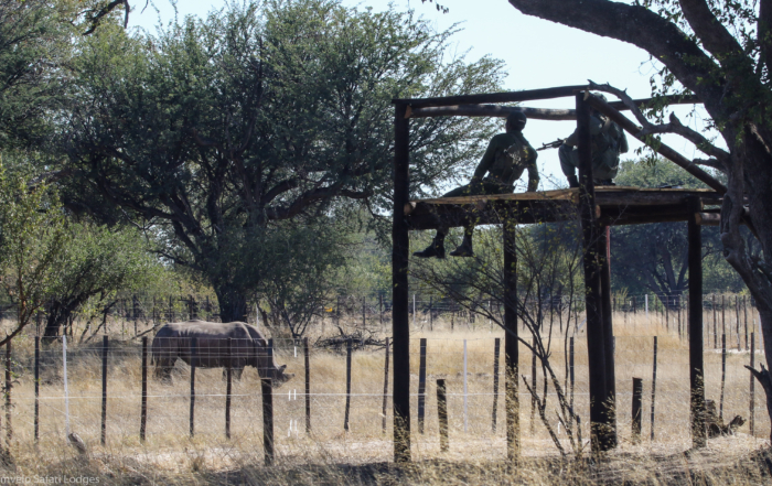 Imvelo Safari Lodges - CRCI - 5 days after arrival the Boys are guarded by rorating teams of 6 supported by a 4 man QRF 24 7