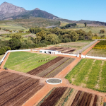 The new Kitchen Garden at Babylonstoren, Cape Winelands, South Africa