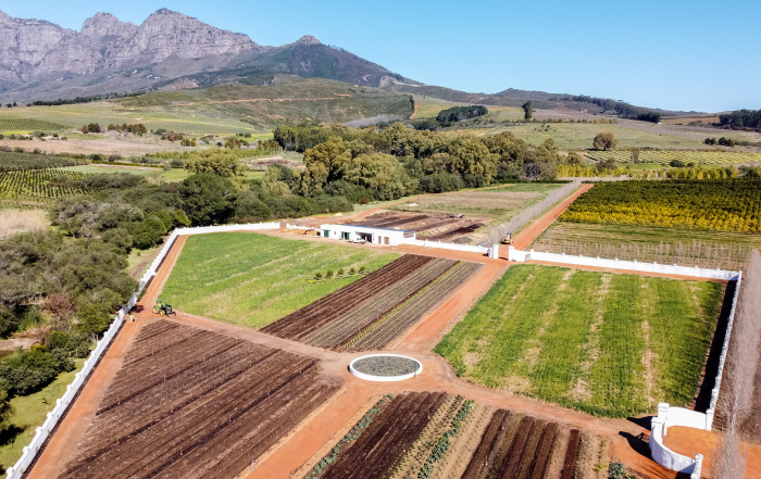 The new Kitchen Garden at Babylonstoren, Cape Winelands, South Africa