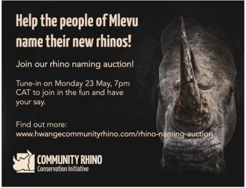 Help Imvelo Safari Lodges name the Rhino!