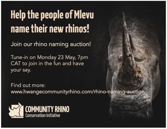 Imvelo Safari Lodges - Rhino Naming Auction