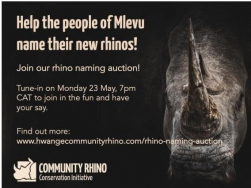 Rhino Naming Auction