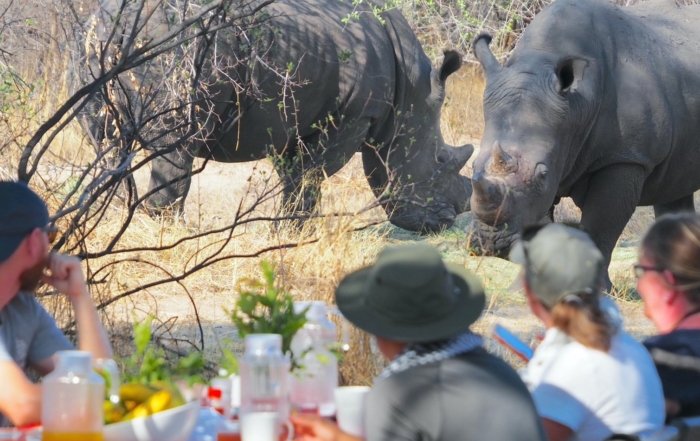 Rhinos at Breakfast - Camelthorn, Imvelo Safari Lodges, Hwange