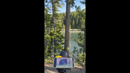 Watching wildlife through a scope with Gather Away – June 2025 See the bear through the scope and zoom in with an iphone. What a difference a scope makes - Gather Away