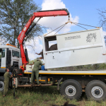 Loading the rhino into a crate to take them to a boma