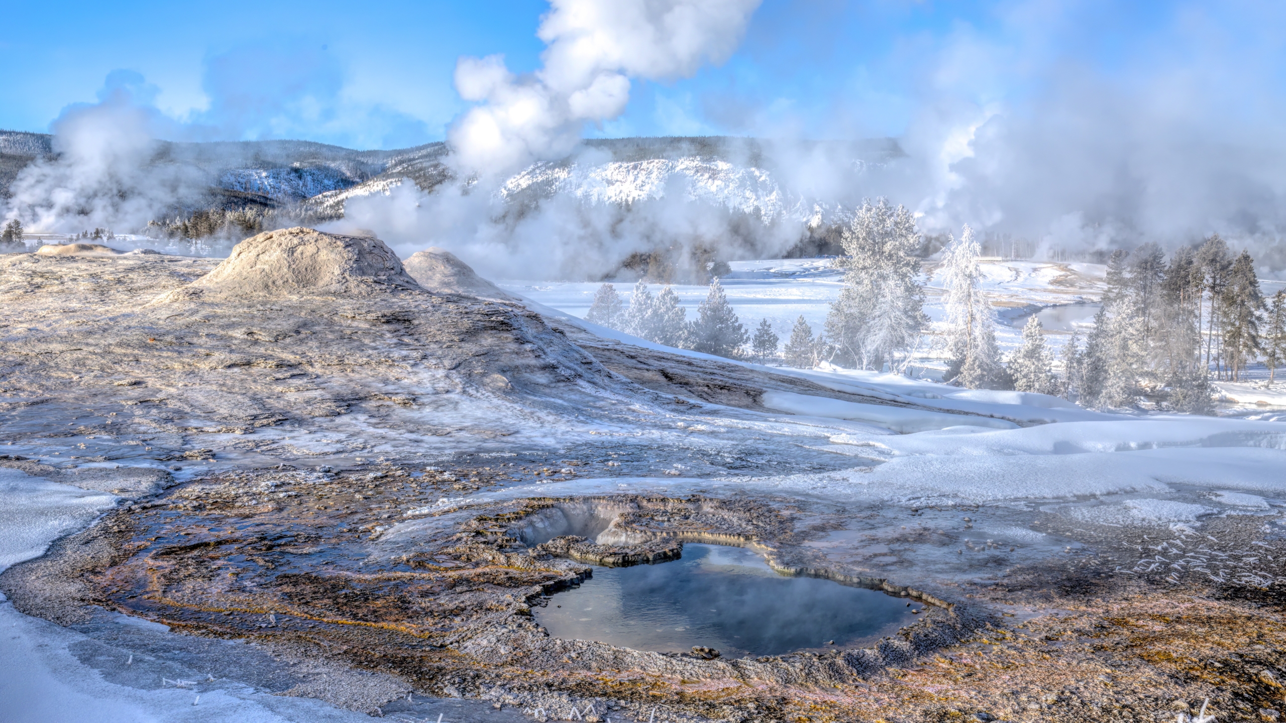 Geyser in Greater Yellowstone Geyser in Greater Yellowstone